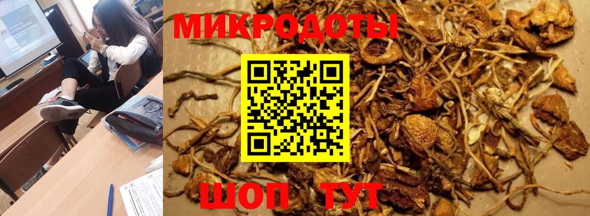 Острогожск  Галлюциногенные грибы Psilocybe  Вход с VPN 